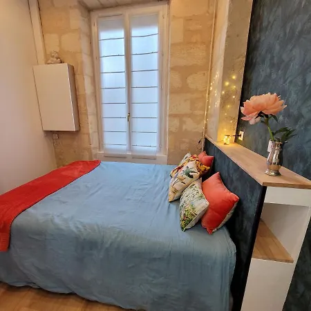 Apartmán Typiquement Bordelais *